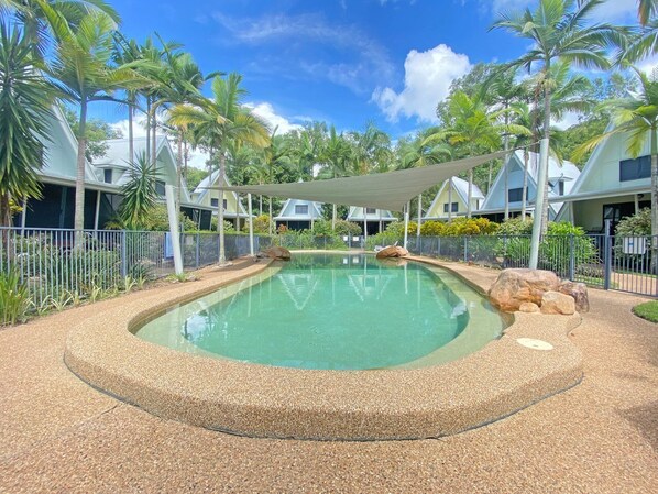 A swimming pool with a pebble border, surrounded by palm trees and houses. - Canopy Chalet 4 (Nelly Bay)