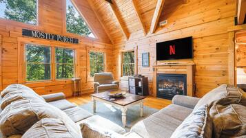 Televisor intel·ligent, llar de foc, reproductor de DVD i joguines