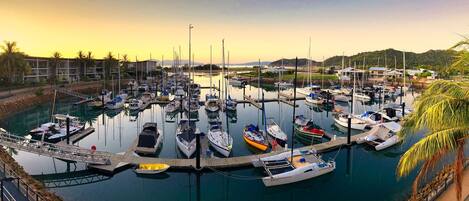 Marina