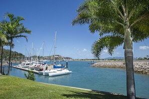 A marina with boats docked, a clear sky, and a grassy area with palm trees.