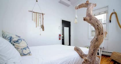 The High Tide #9 One Bedroom Suite with Kitchen