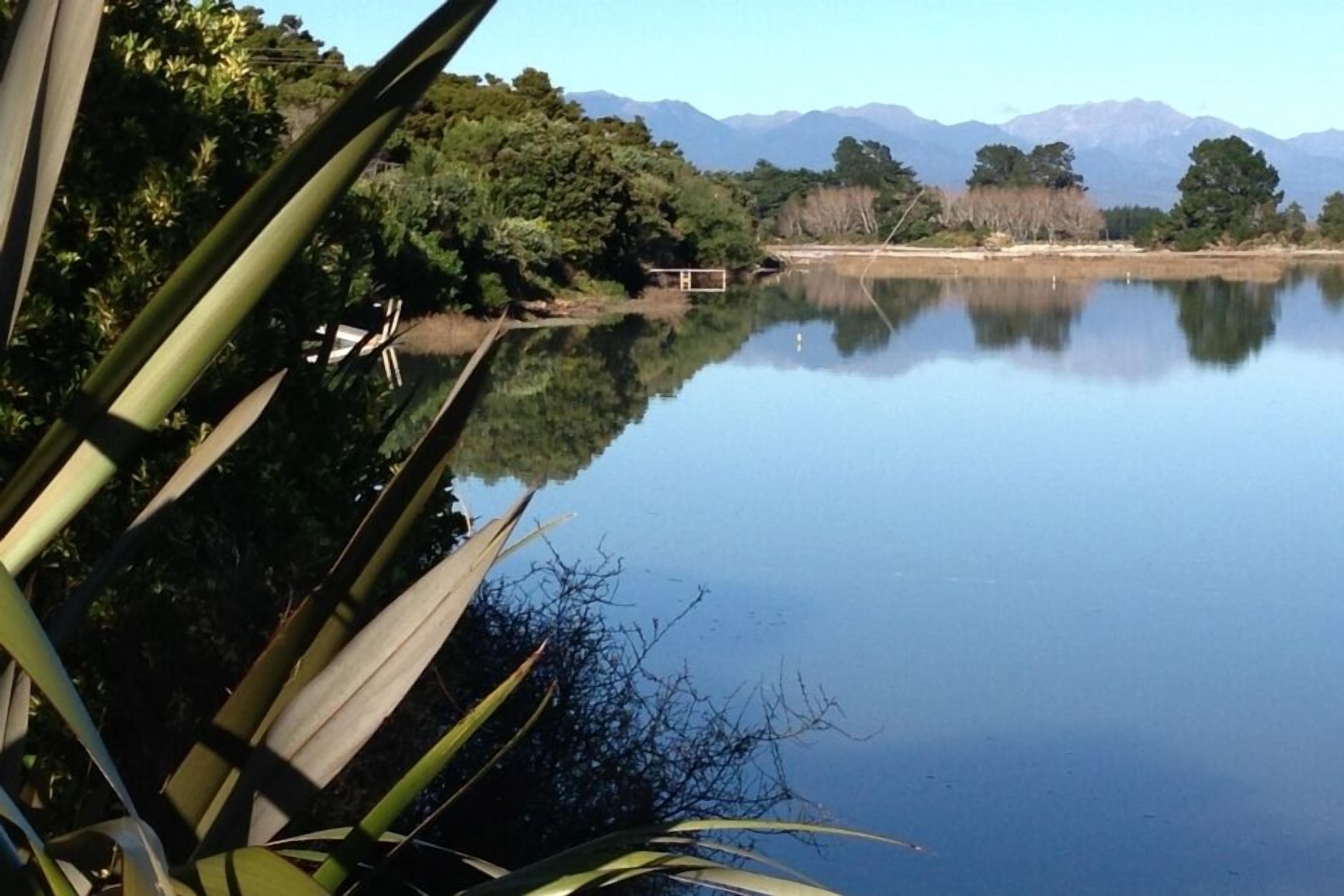 A calm lake with mountains in the background and dense greenery in the foreground.