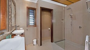 Combined shower/bathtub