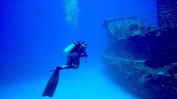 A diver underwater near a shipwreck.