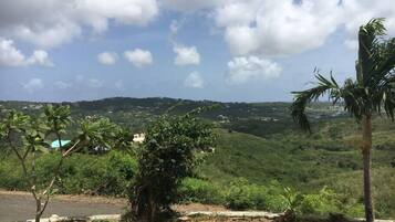 A view of a lush green landscape with a road in the foreground, a palm tree, and a distant view of houses on a hill.