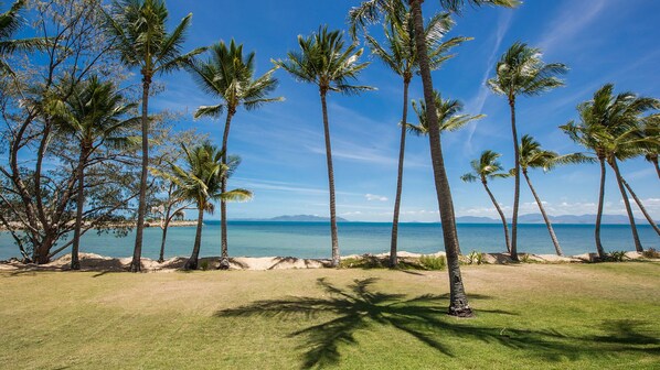 Una playa con palmeras y una vista despejada del océano.