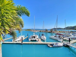 Een jachthaven met afgemeerde boten, helderblauw water en een palmboom.