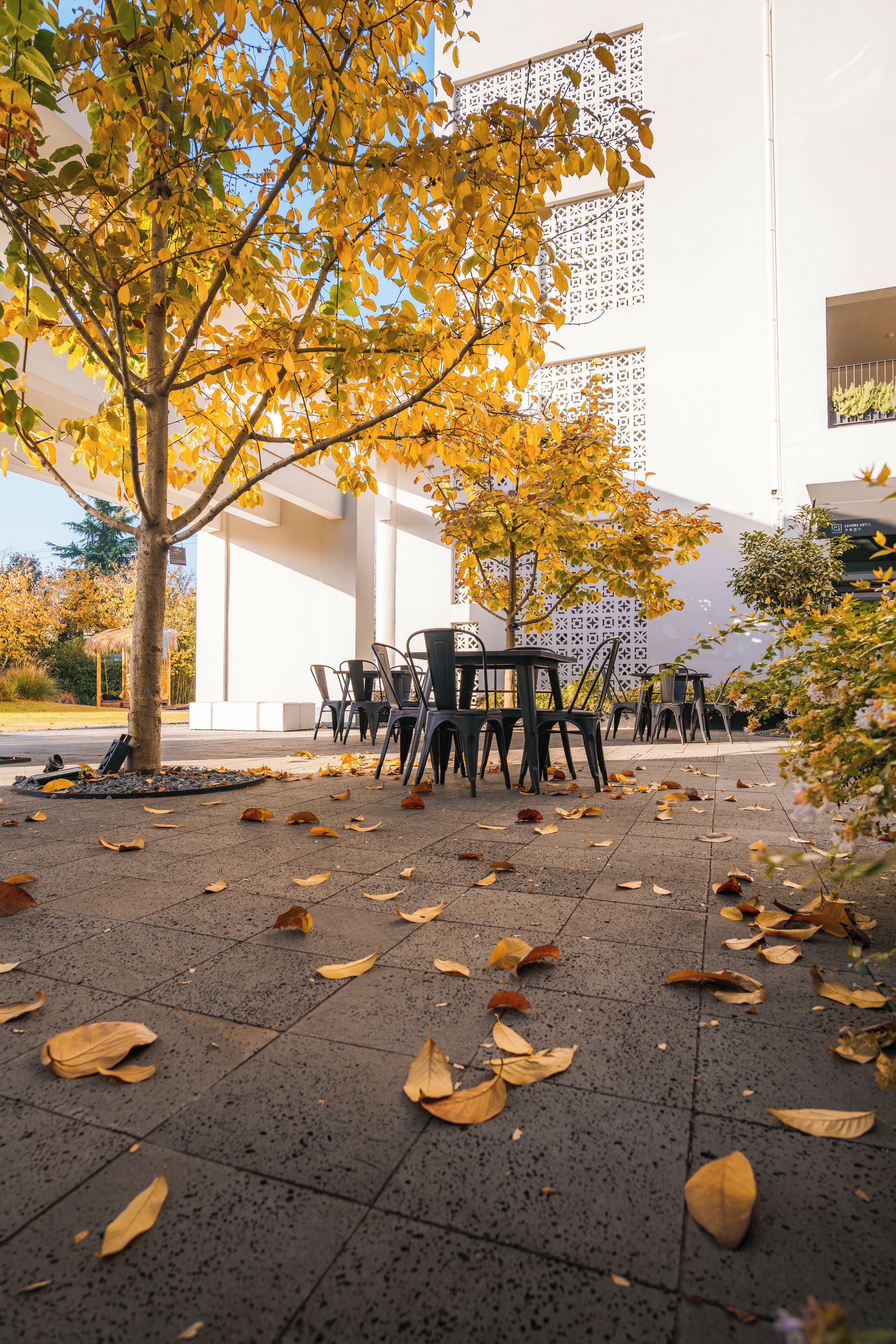 An outdoor seating area with tables and chairs, surrounded by trees with yellow leaves, and a building with a white facade in the background.