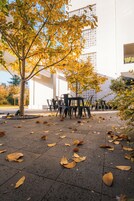 An outdoor seating area with tables and chairs, surrounded by trees with yellow leaves, and a building with a white facade in the background.