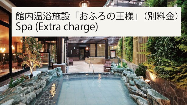 A spa with a stone-lined pool and a wooden deck. - Ours Inn Hankyu (Tokyo)