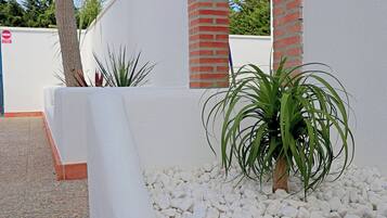 Terrain de l’hébergement