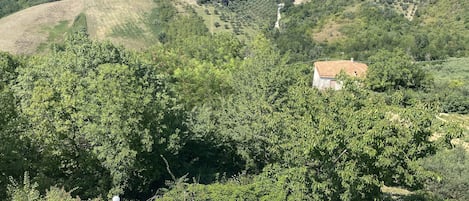 Alberca