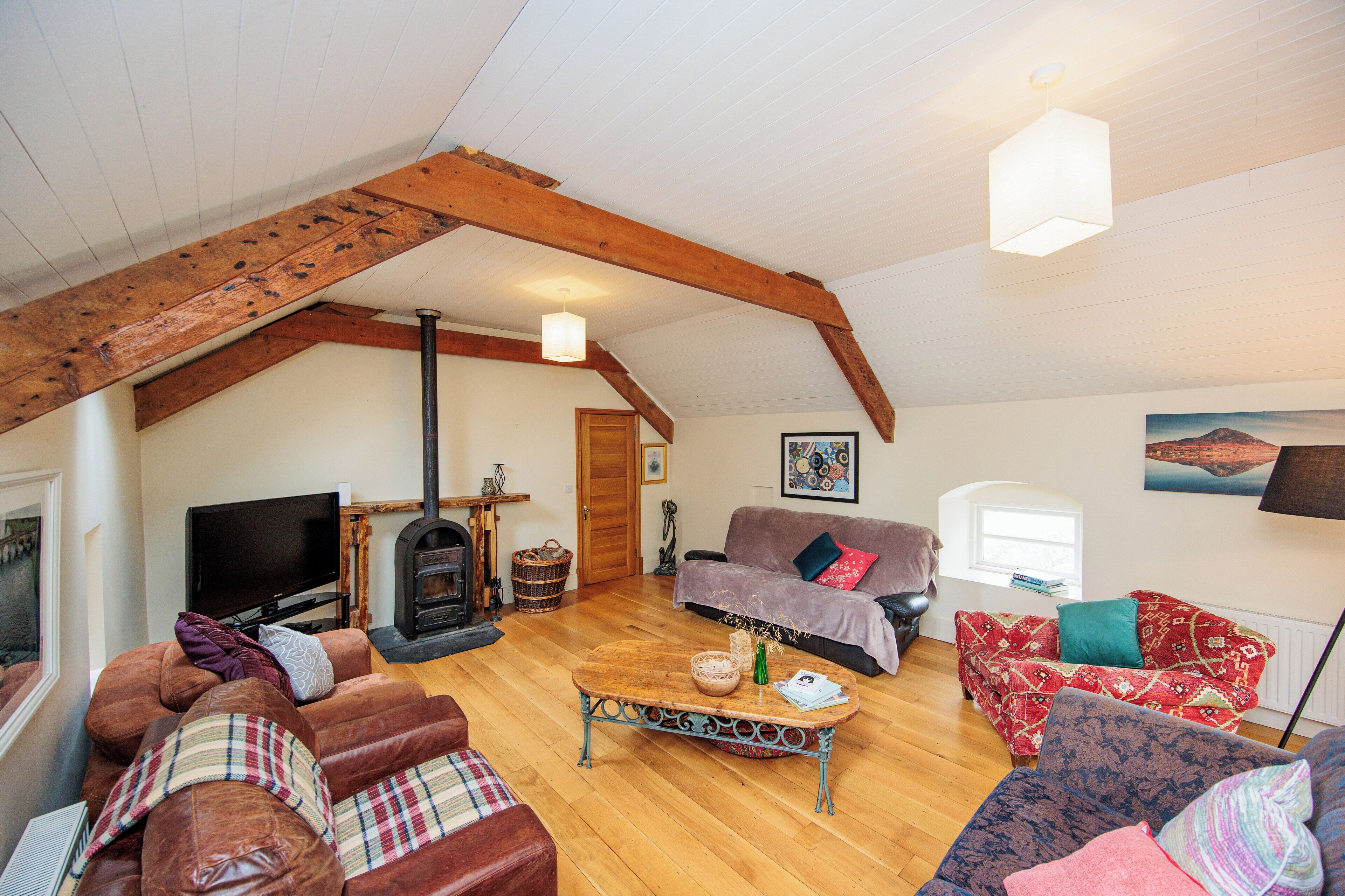 TV, fireplace, DVD player, books