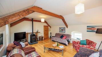 TV, fireplace, DVD player, books