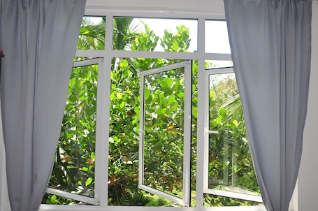 Vista desde la habitación