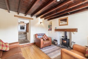 TV, fireplace, DVD player, books
