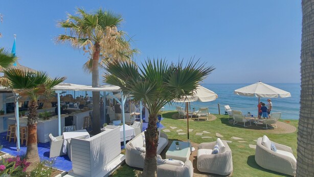 A beachside patio with outdoor seating, palm trees, and umbrellas overlooking the sea.