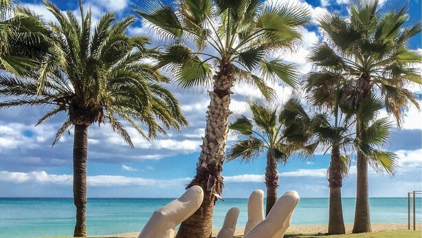 Una playa con palmeras y un cielo despejado.