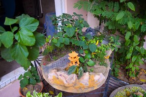 A garden with a variety of plants, a wire fence, and a small yellow pagoda-like structure.