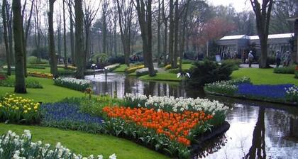 Holiday park, sea, Glasüberd.Terrace, internet, golfpl. Outdoor pool, bathing lake, lake