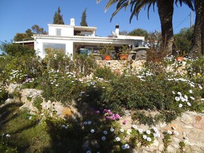 Property grounds - Paradise (customer´s evaluation) (Lagoa)