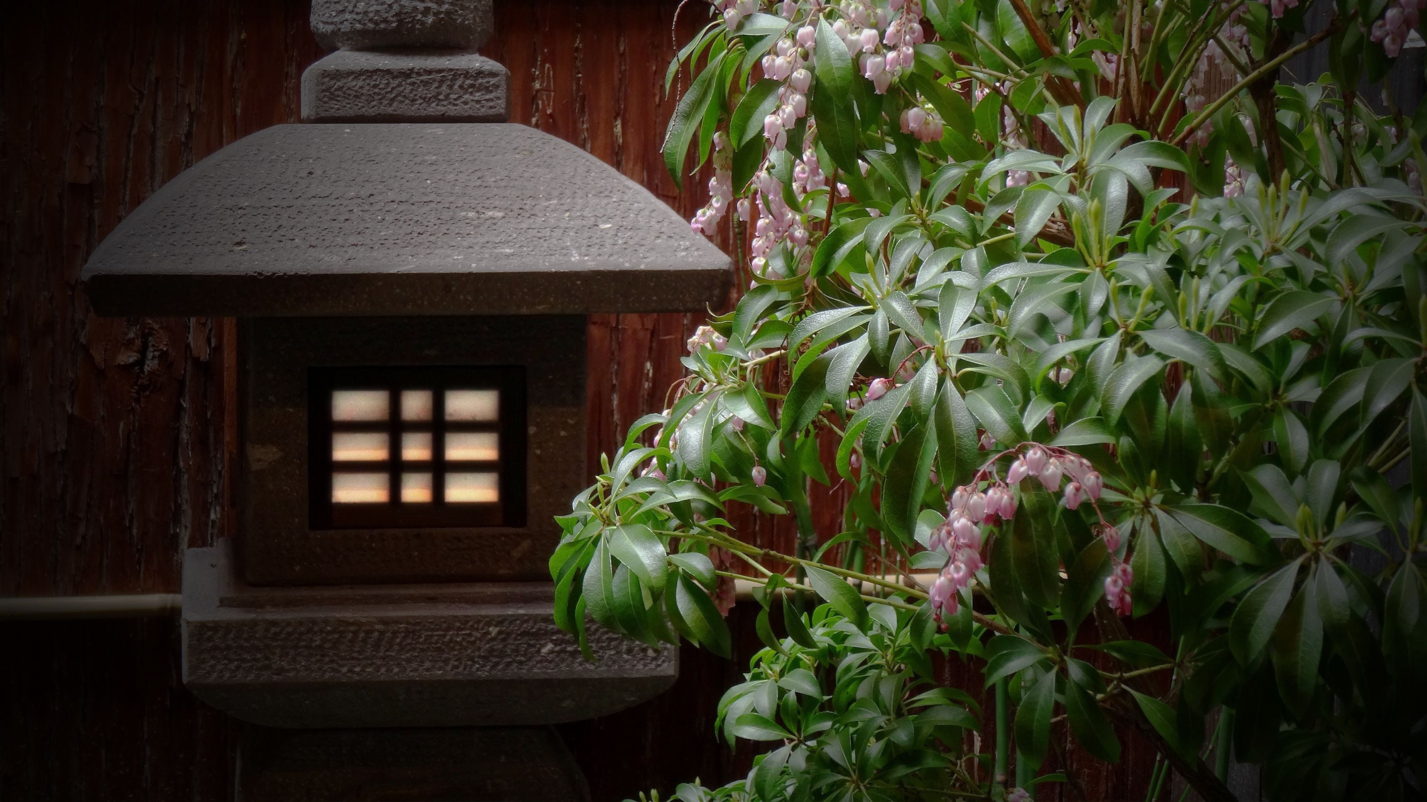 A stone structure with a window, surrounded by lush green foliage and pink flowers.
