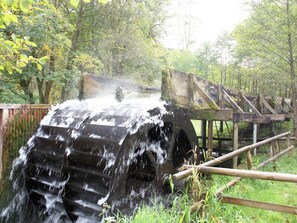 Unclassified image, 3 of 26, button