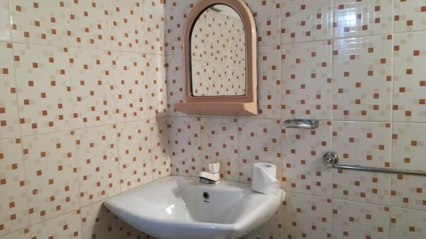 A bathroom with a sink, mirror, and toilet paper dispenser. - Paradise Guest House (Habarana)