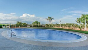 Una piscina con borde empedrado, rodeada de follaje y palmeras.