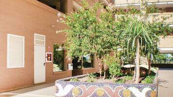 Detalle del exterior