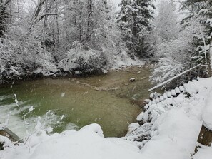 Unclassified image, 4 of 18, button