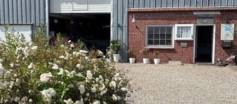 Apartment 1 in Womoland on Nordstrand 32 square meters - Holiday apartments in WomoLand on