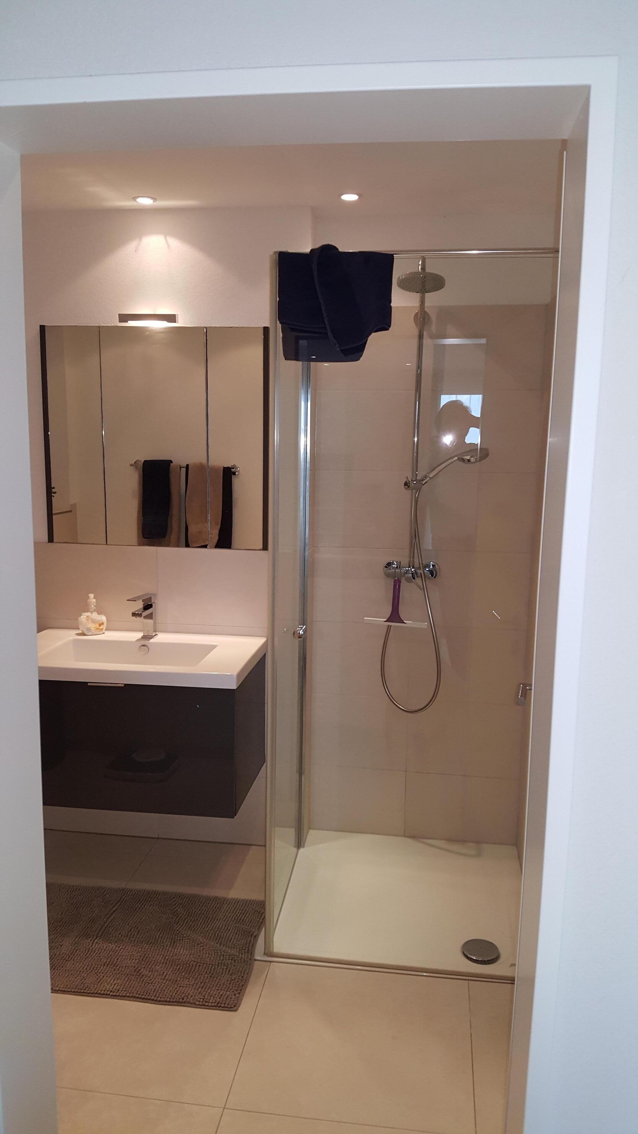 A modern bathroom with a glass shower enclosure, a sink with a mirror, and a towel rack.