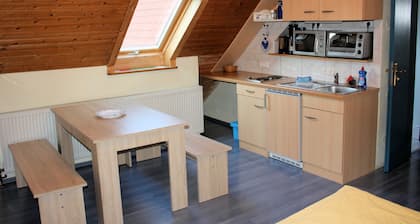 Category A: 1-room apartment for 2 persons - Pension Mühle