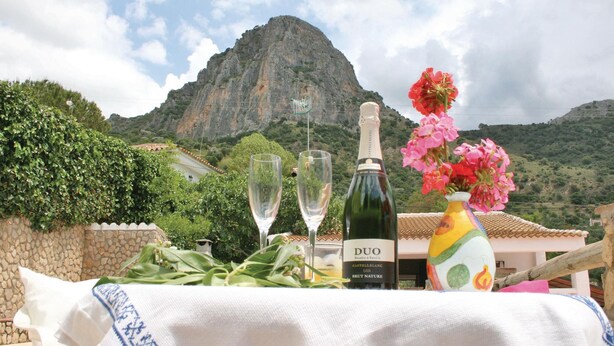 Une table dressée avec deux verres à vin, une bouteille de Duo Brut Nature et un vase rempli de fleurs roses, le tout mis en valeur par un paysage montagneux en arrière-plan.