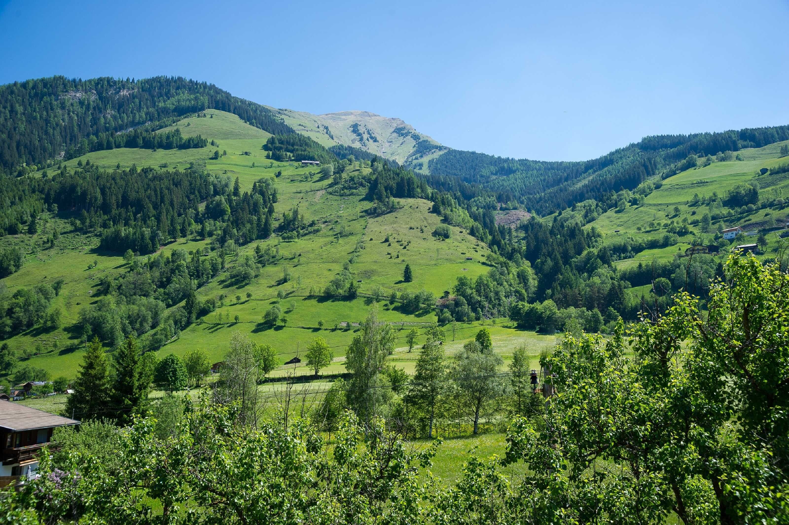 Eine gebirgige Landschaft mit grünen Feldern und vereinzelten Bäumen.