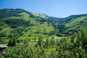 Unclassified image, 4 of 23, button - Rauriser Jungle Family Studio - Hotel Alpina **** (Rauris)