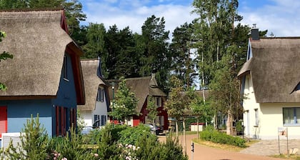 Maison de vacances de luxe au toit de chaume 'Seemannsbraut auf RĂŒgen' - Wi-Fi et sauna gratuits