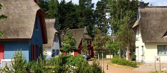 Luxury thatched roof holiday home 'Seemannsbraut auf Rügen' - free WiFi & sauna