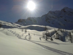 Imagen sin descripción, 4 de 23, botón