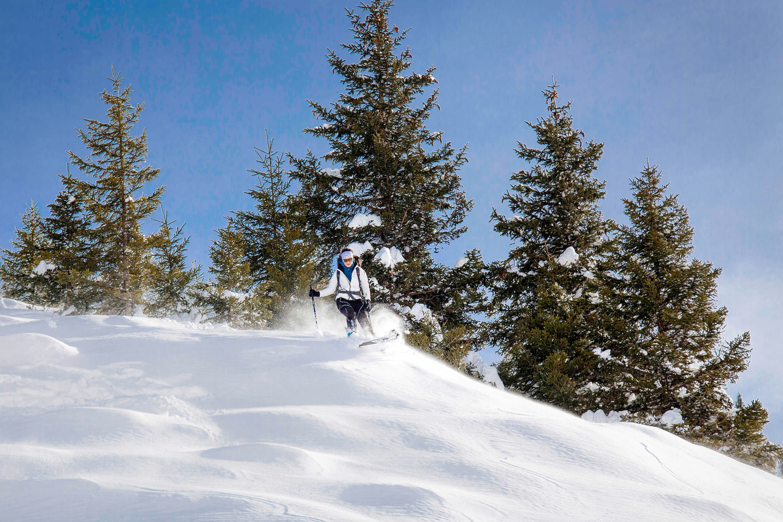 A snowy ski slope with trees.