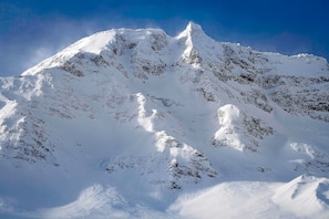 Niet-geclassificeerde afbeelding, 5 van 23, knop