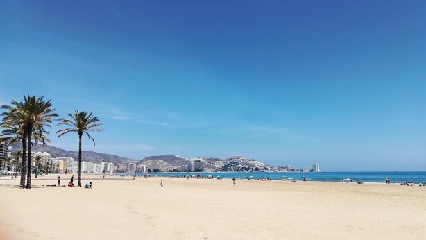 Una playa con palmeras, cielo despejado y un paisaje urbano al fondo.
