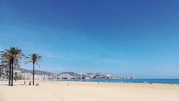 Beach nearby, fishing