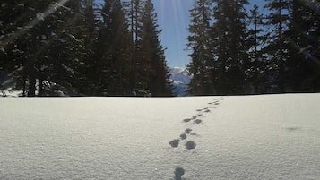 Schneebedeckte Landschaft mit blauem Himmel, Bäumen und einem Wanderweg.