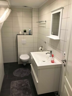 Shower, hair dryer, soap, toilet paper