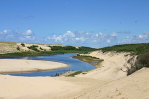 Plage à proximité