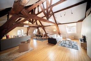 Télévision, cheminée, console de jeux vidéo, livres