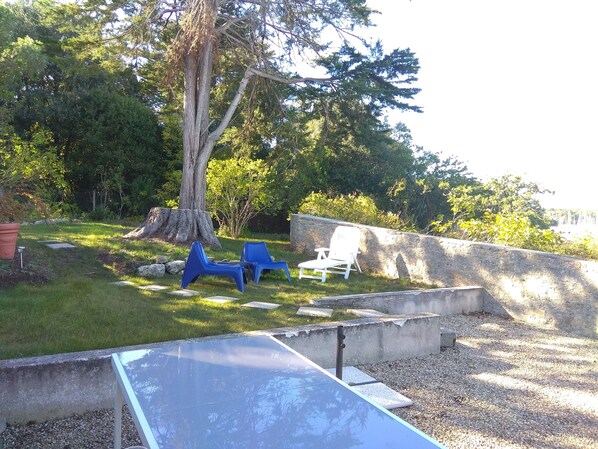 A backyard with a ping pong table, two blue chairs, a white chair, and a large tree.