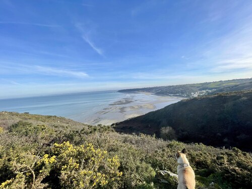 Bretagne, Les grands chênes 